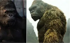 J.R.R. Tolkien Vs Peter Jackson: Book Differences