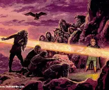 Thrush bird on a branch