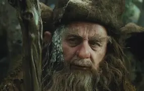 Radagast the Brown and Gandalf