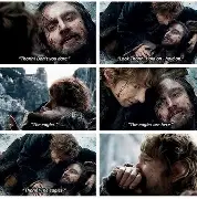 Eagles and the Fellowship of the Ring