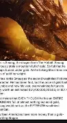 Smaug and his Gold