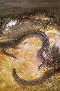 Smaug, the dragon of the Third Age