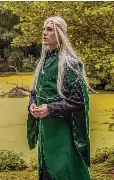 Elven Diet