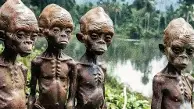 Giant Stone Giants in the Solomon Islands