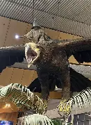The secret relationship between Gandalf and the Great Eagles - Servants of Manwe