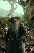 Why Gandalf Didnt Tell The Dwarves About The Necromancer Sooner